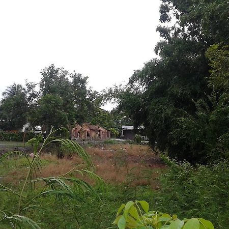 Nita Homestay Banyuwangi  Exterior photo