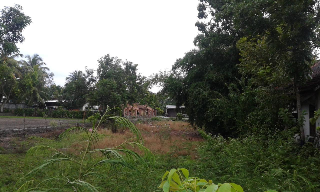 Nita Homestay Banyuwangi  Exterior photo
