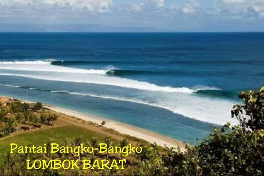Nita Homestay Banyuwangi  Exterior photo